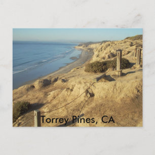 Torrey Pines, CA Postcard