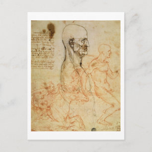 Torso of a Man in Profile, the Head Squared for Pr Postcard