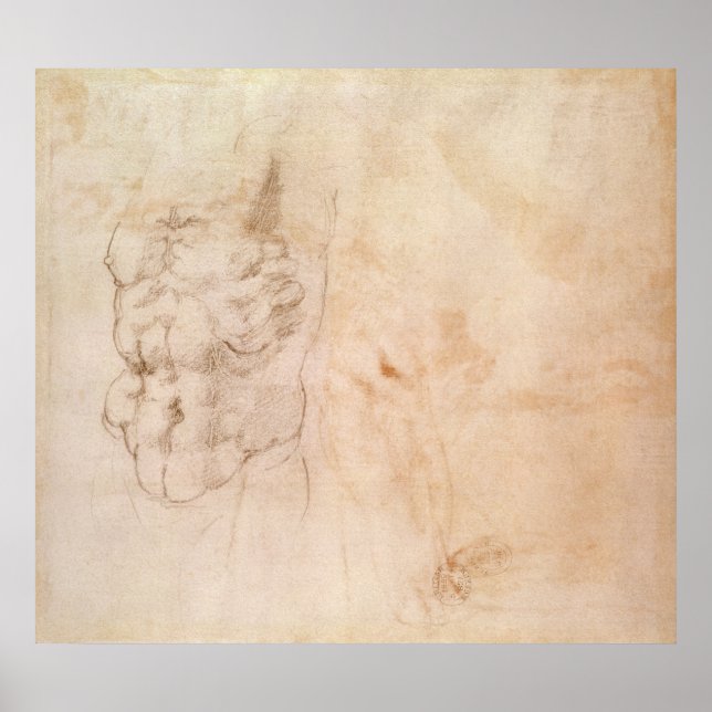 Torso Study Poster (Front)
