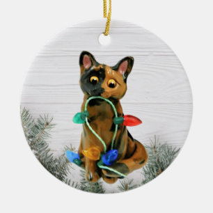 Tortie Cat Tortoiseshell Ornament