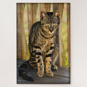 Tortie - Tortoiseshell Cat - Pet Photography Jigsaw Puzzle