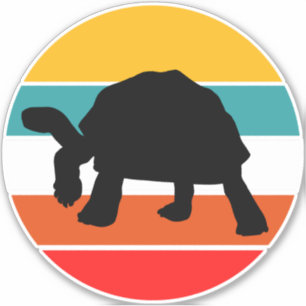 Tortoise