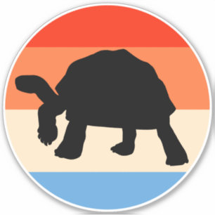Tortoise