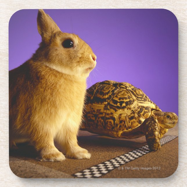 Tortoise and the hare coaster (Front)