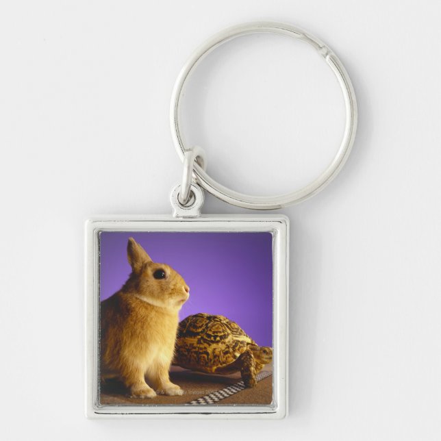 Tortoise and the hare key ring (Front)