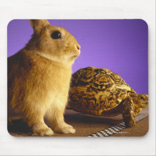 Tortoise and the hare mouse pad