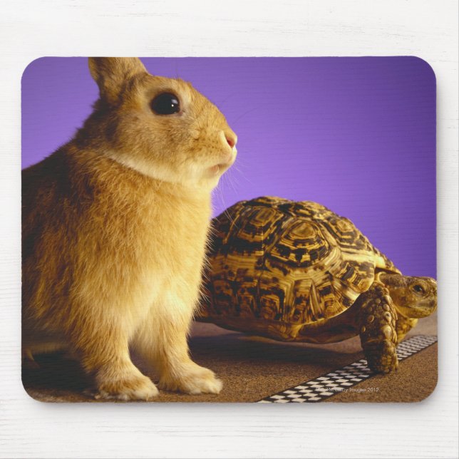 Tortoise and the hare mouse pad (Front)