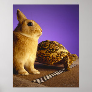 Tortoise and the hare poster