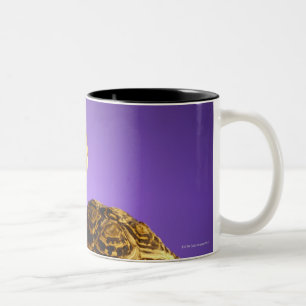 Tortoise and the hare Two-Tone coffee mug