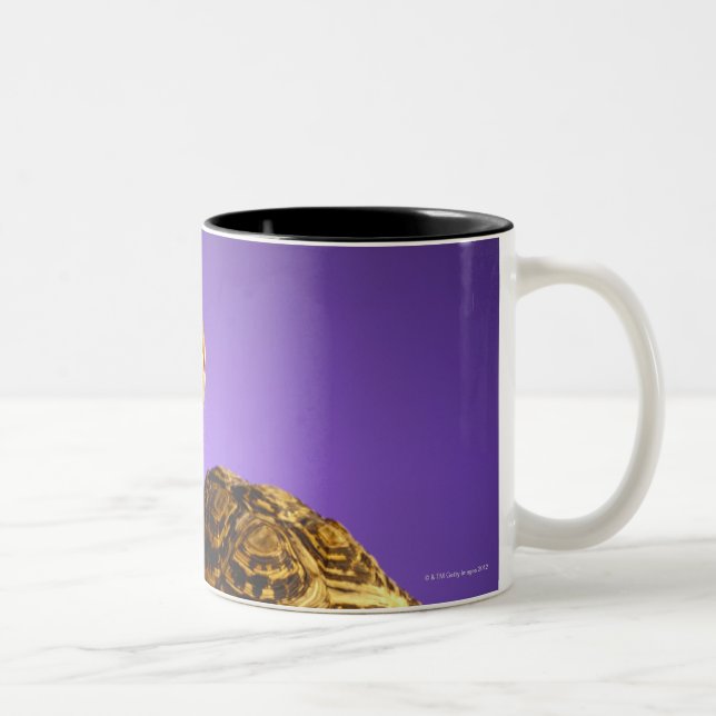 Tortoise and the hare Two-Tone coffee mug (Right)