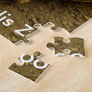 Tortoise at Indianapolis Zoo Jigsaw Puzzle