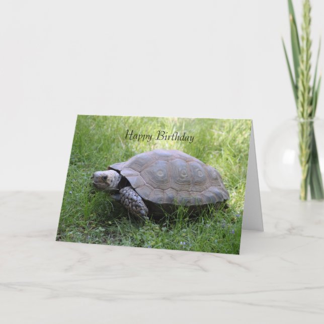 Tortoise Birthday Card (Front)