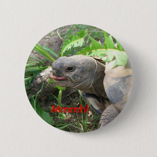 Tortoise Button (Front)