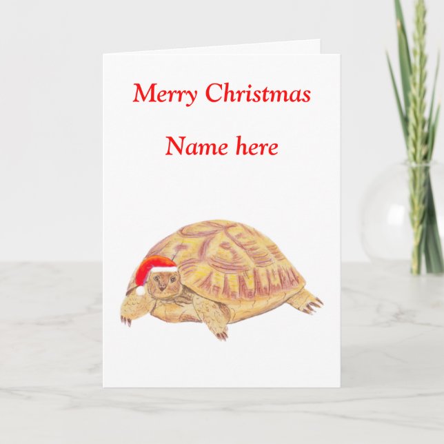 Tortoise Christmas Card (Front)