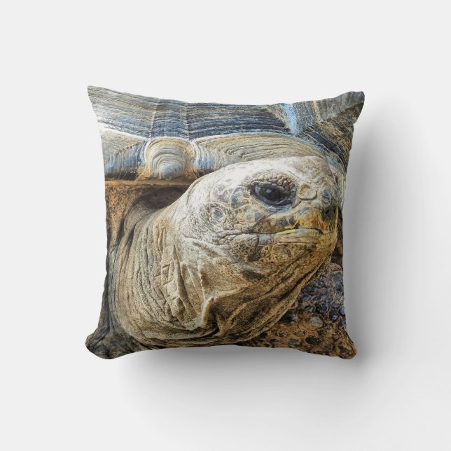 TORTOISE CUSHION (Front)
