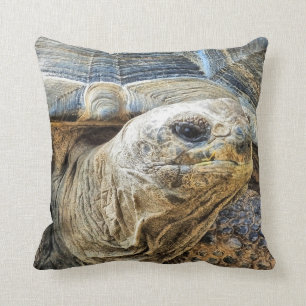 TORTOISE CUSHION