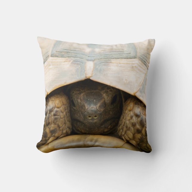 Tortoise Cushion (Front)