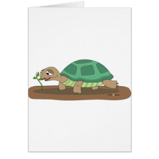 Tortoise eating