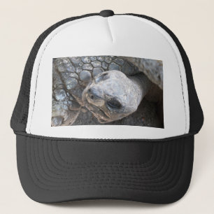 Tortoise Face Trucker Hat