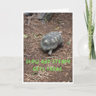 Tortoise fun note card