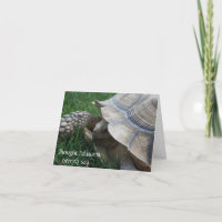 Tortoise Hurry Birthday Card
