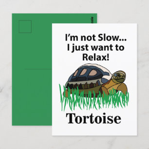 Tortoise I Just Want To Relax Animal Pet Funny Postcard