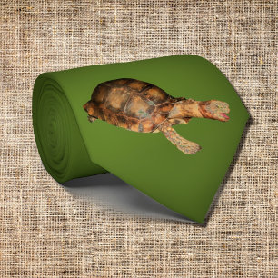   Tortoise  in dark olive green Tie