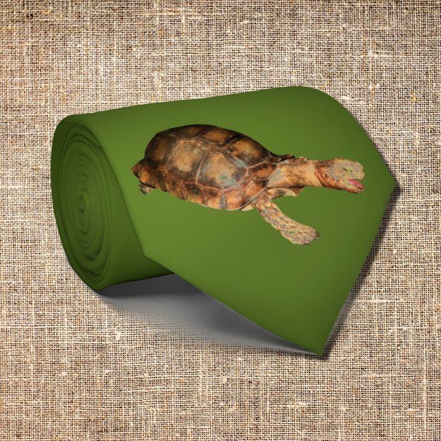   Tortoise  in dark olive green Tie (Creator Uploaded)