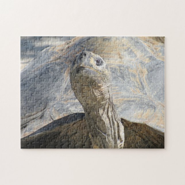 Tortoise Jigsaw Puzzle (Horizontal)
