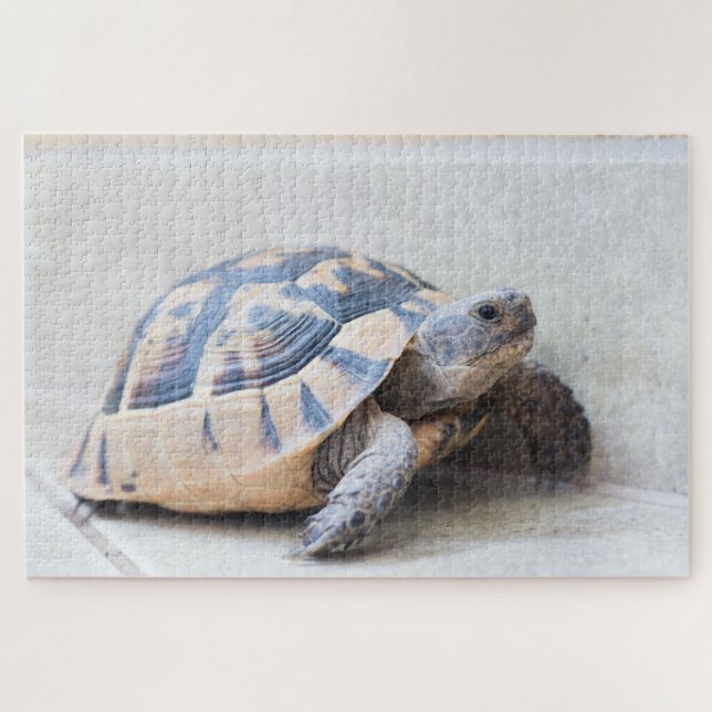 Tortoise Jigsaw Puzzle (Horizontal)