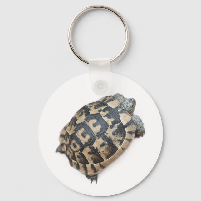 Tortoise Key Ring (Front)