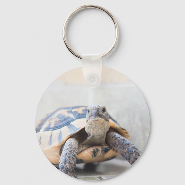 Tortoise Key Ring (Front)
