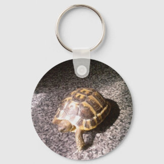 Tortoise Key Ring