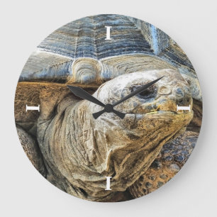 TORTOISE LARGE CLOCK