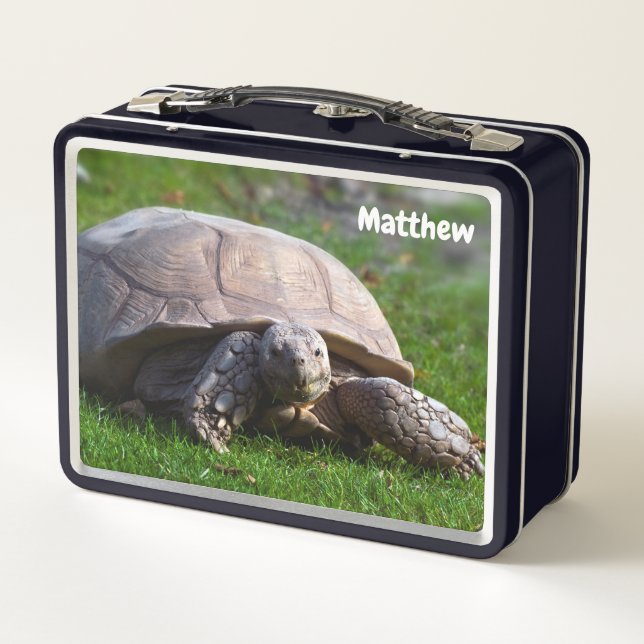 Tortoise Metal Lunchbox (Back)