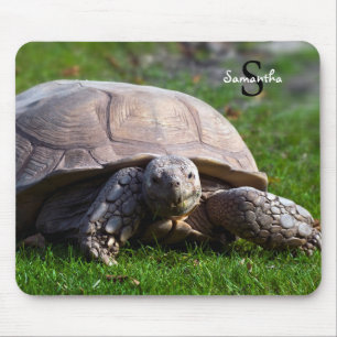 Tortoise Mouse mat
