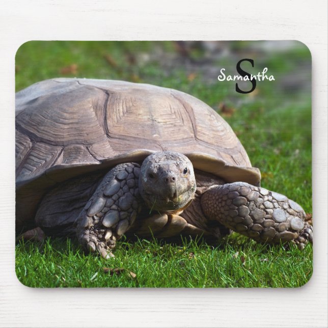 Tortoise Mouse mat (Front)