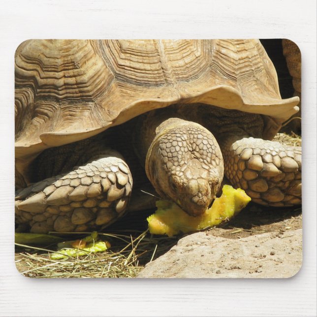 Tortoise Mouse Pad (Front)