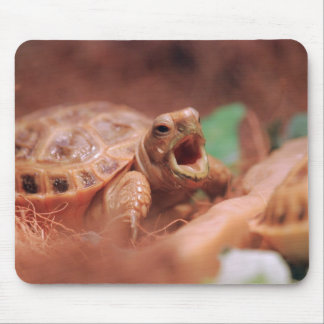 Tortoise Mouse Pad