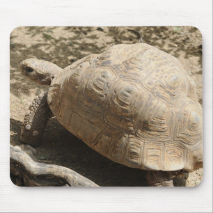 Tortoise Mouse Pad