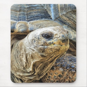 TORTOISE MOUSE PAD