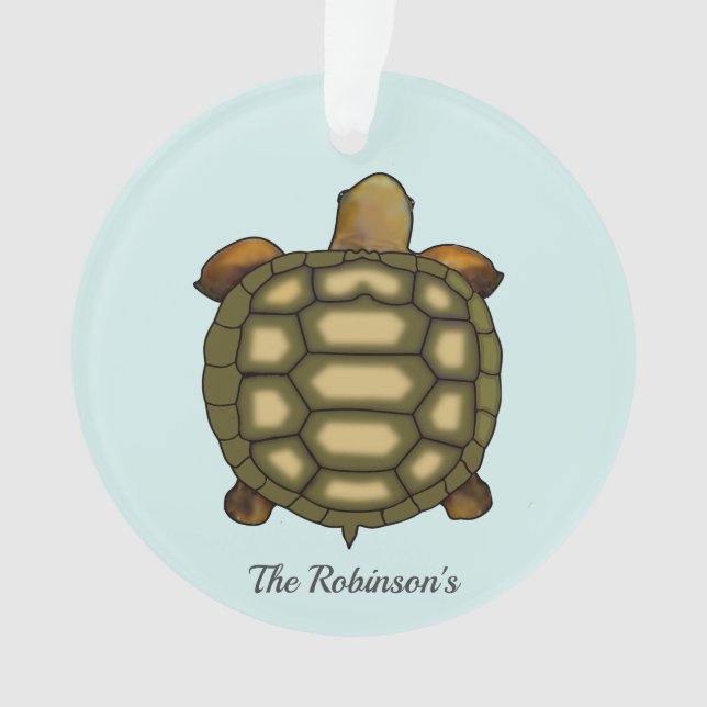 Tortoise on light blue Acrylic Ornament (Front)