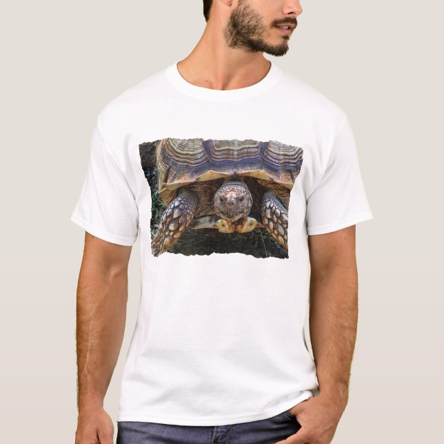Tortoise Photo T-Shirt (Front)