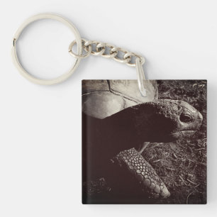 Tortoise Photograph in Sepia Key Ring