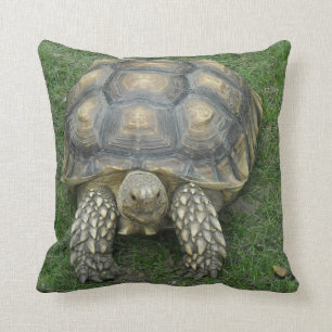 Tortoise Pillow