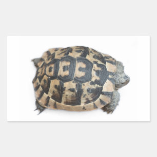 Tortoise Rectangular Sticker