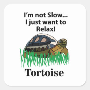 Tortoise Relax Animal Cute Funny  Square Sticker