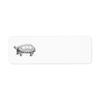 Tortoise Return Address Label