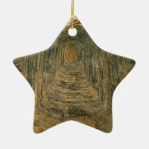 Tortoise Shell Abstract Nature Photo Ceramic Ornament