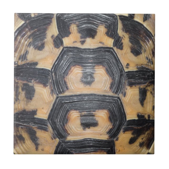 Tortoise shell ceramic tile (Front)